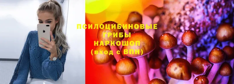 Галлюциногенные грибы MAGIC MUSHROOMS  Казань 